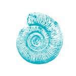 Inspiratia Inspiratia